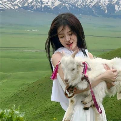 精灵高中:逃离骷髅海岸